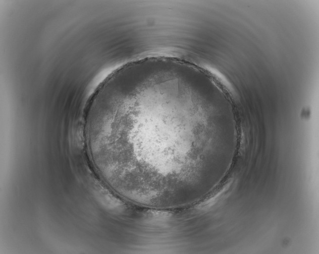 X0000091960878200709061259