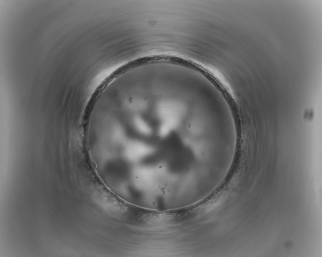 X0000091960879200709061259