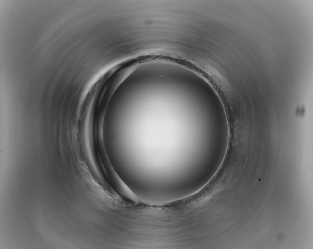 X0000091960880200709061259