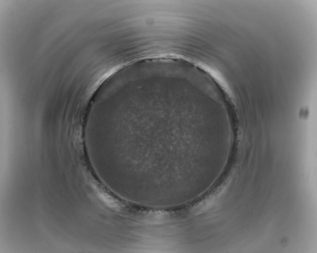 X0000091960881200709061259