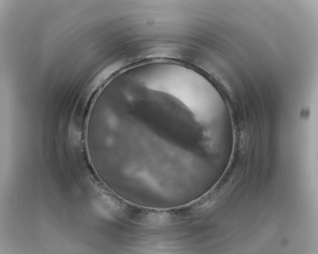 X0000091960882200709061259