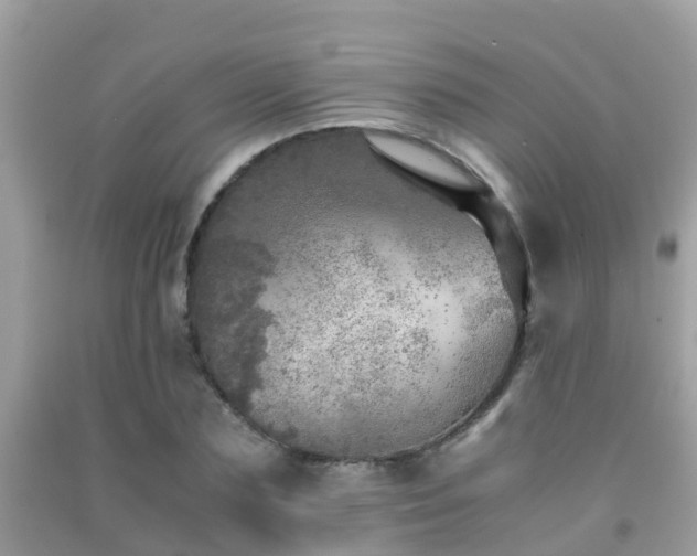 X0000091960883200709061259