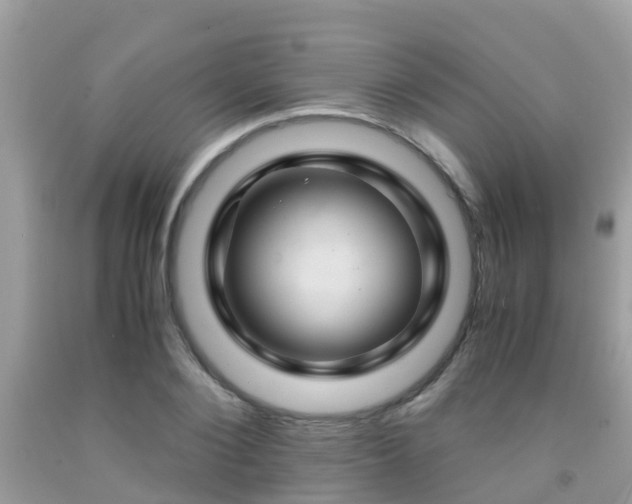 X0000091960884200709061259