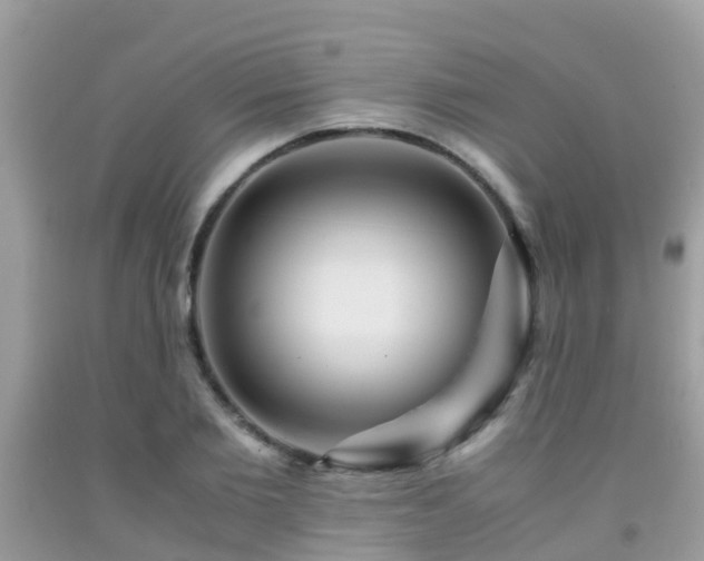 X0000091960885200709061259