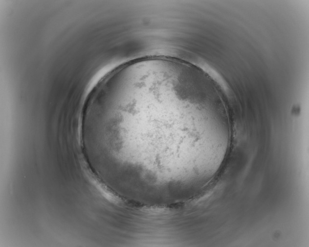 X0000091960886200709061259