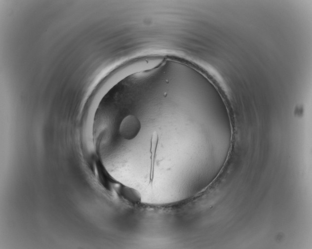 X0000091960887200709061259