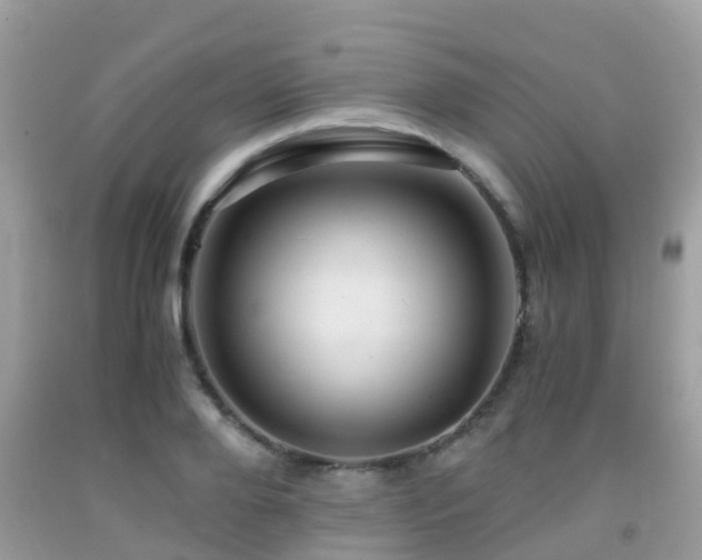 X0000091960888200709061259