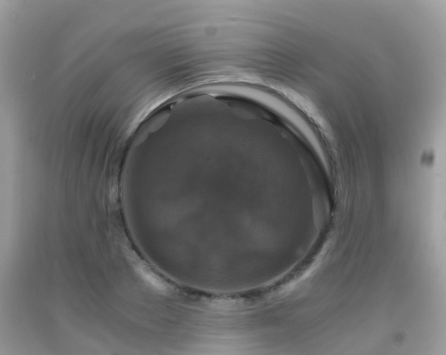 X0000091960889200709061259