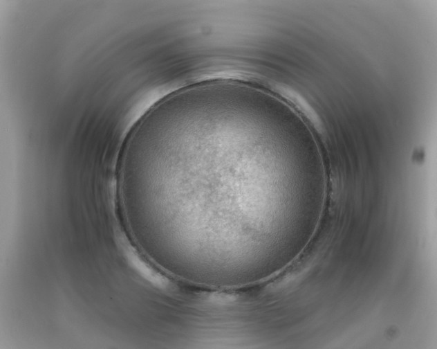 X0000091960890200709061259