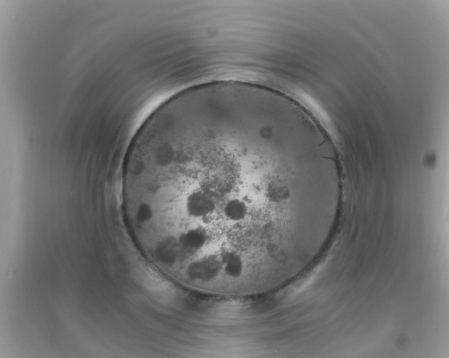 X0000091960891200709061259