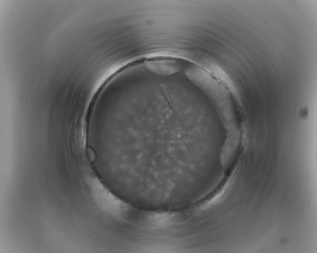 X0000091960892200709061259