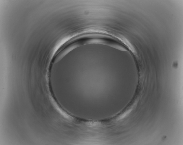 X0000091960893200709061259