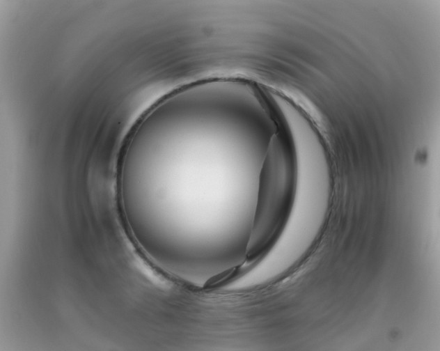 X0000091960894200709061259