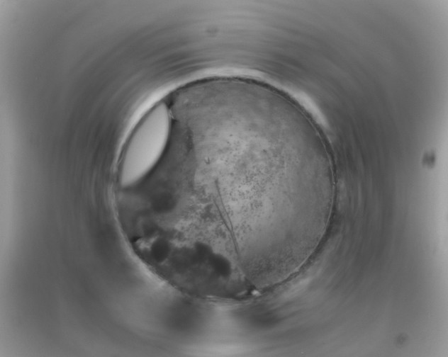 X0000091960895200709061259