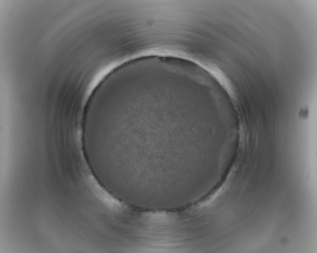 X0000091960896200709061259