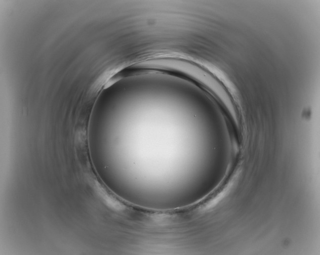 X0000091960897200709061259