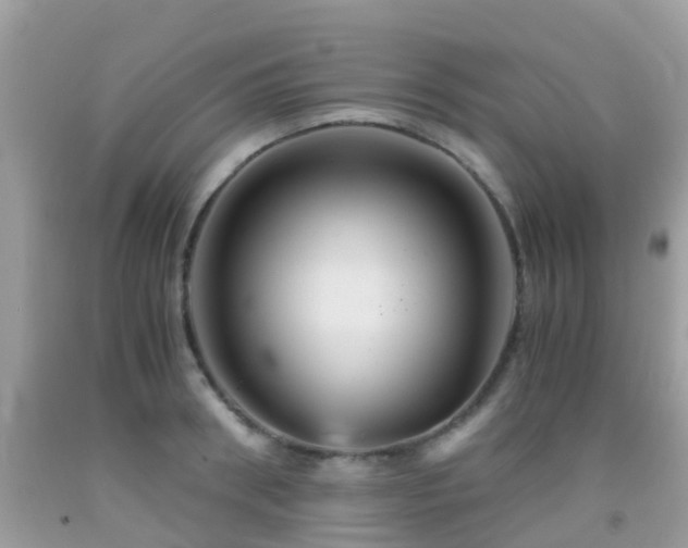 X0000091960898200709061259