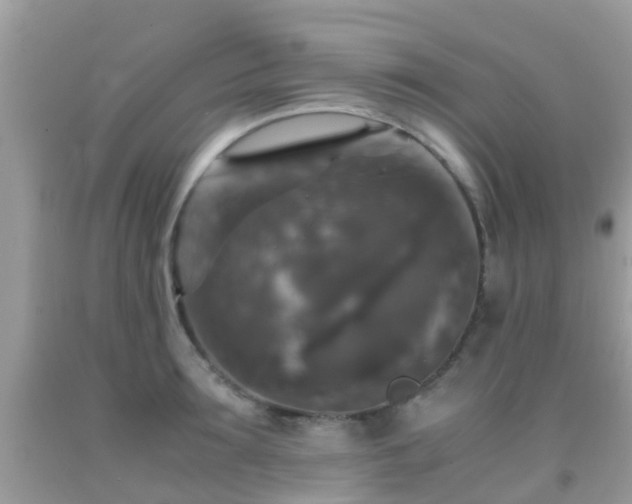 X0000091960899200709061259