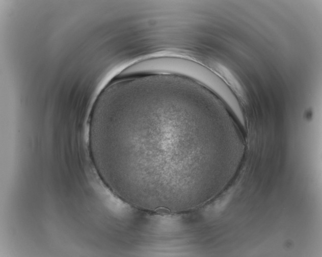 X0000091960900200709061259