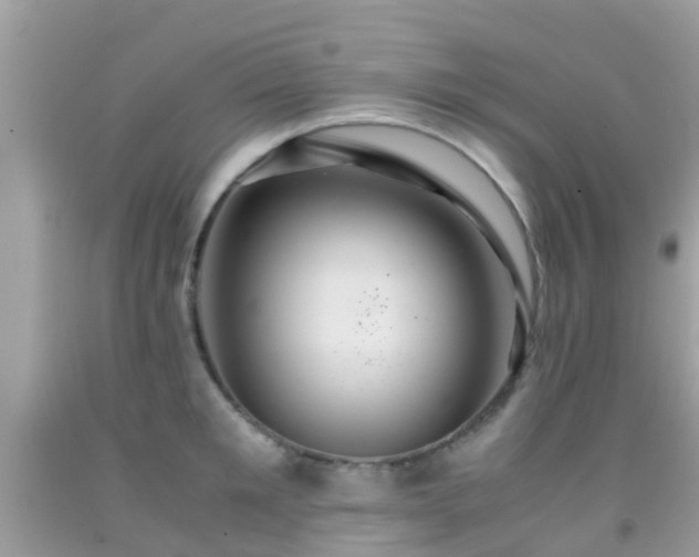 X0000091960901200709061259