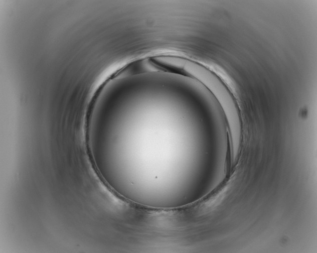 X0000091960902200709061259