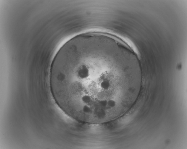 X0000091960903200709061259