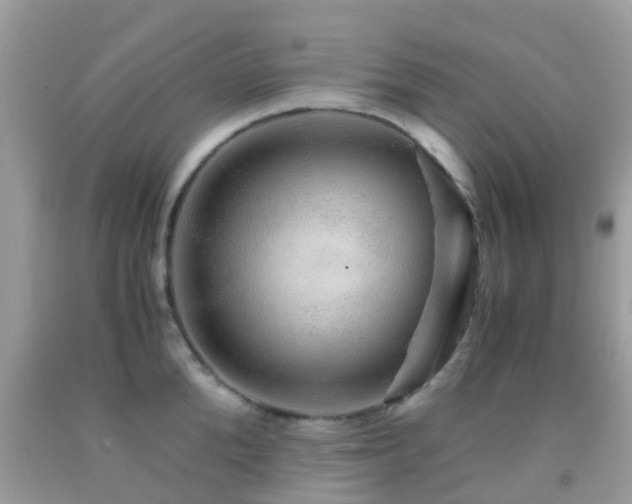 X0000091960904200709061259