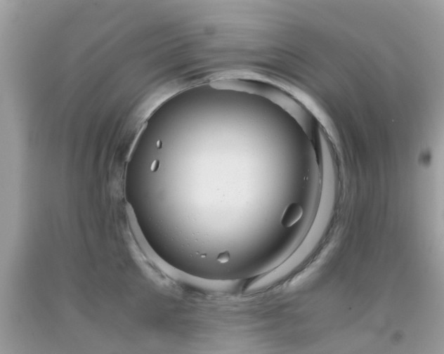 X0000091960905200709061259