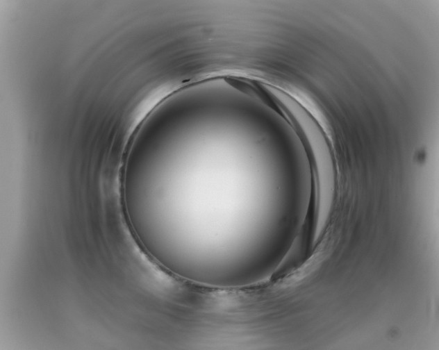 X0000091960906200709061259