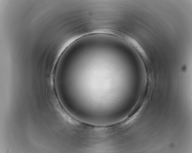 X0000091960908200709061259