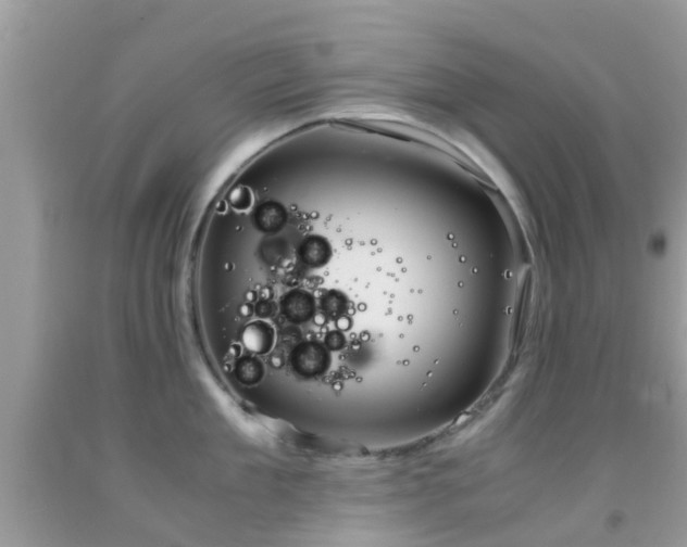 X0000091960909200709061259