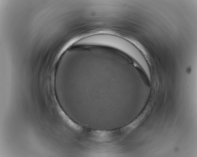 X0000091960910200709061259