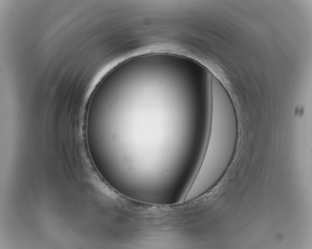 X0000091960912200709061259