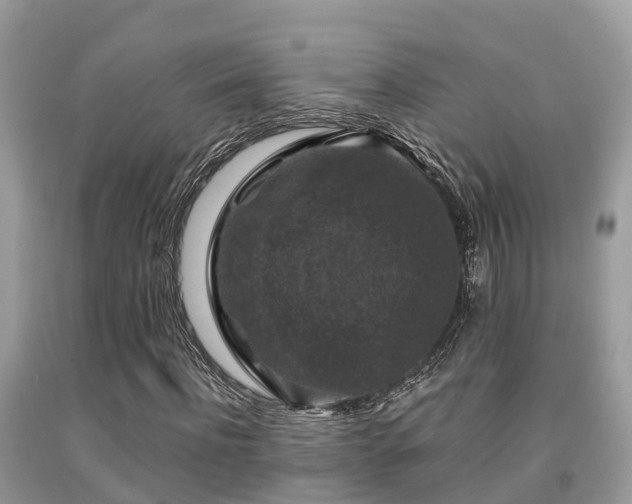 X0000091960916200709061258