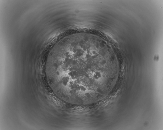 X0000091960917200709061258