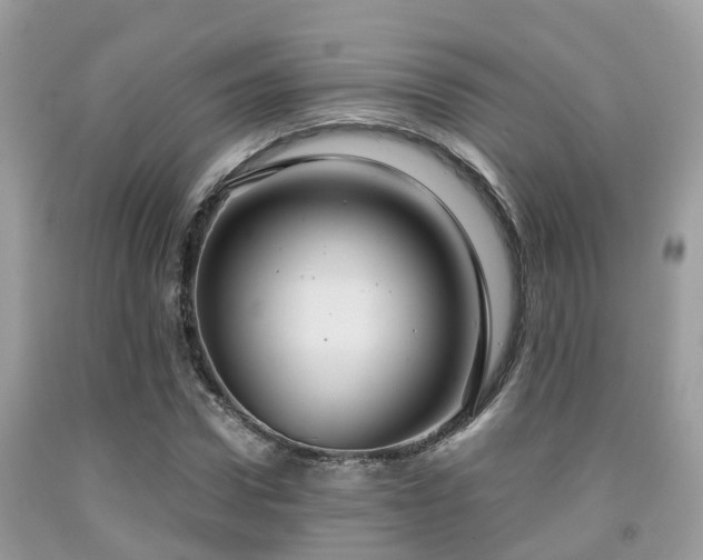 X0000091960922200709061258