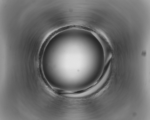 X0000091960924200709061258