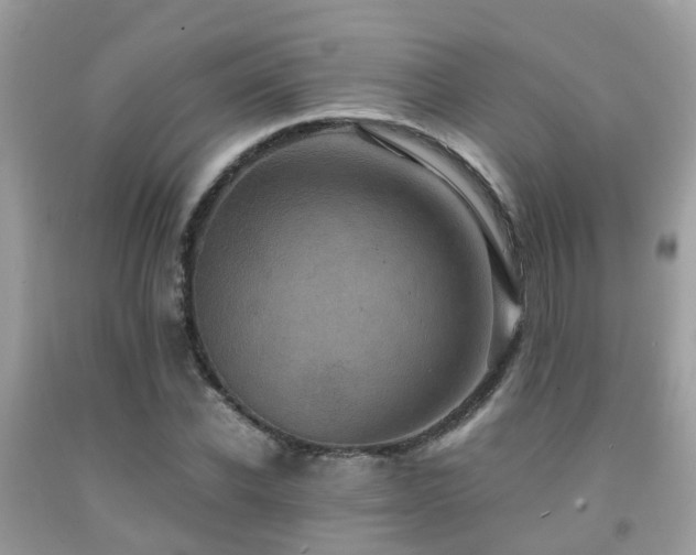 X0000091960926200709061258