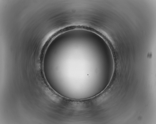 X0000091960927200709061258