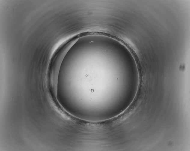 X0000091960928200709061258