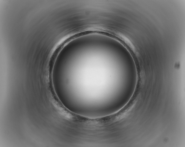 X0000091960931200709061258