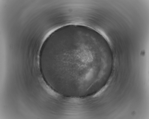 X0000091960932200709061258