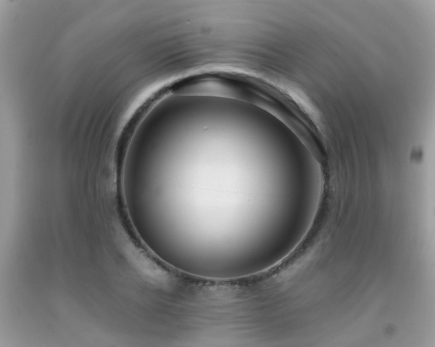 X0000091960934200709061258