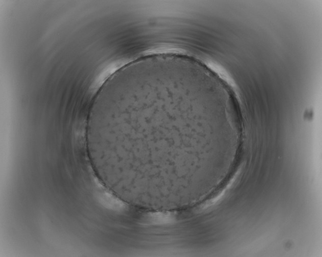 X0000091960937200709061258