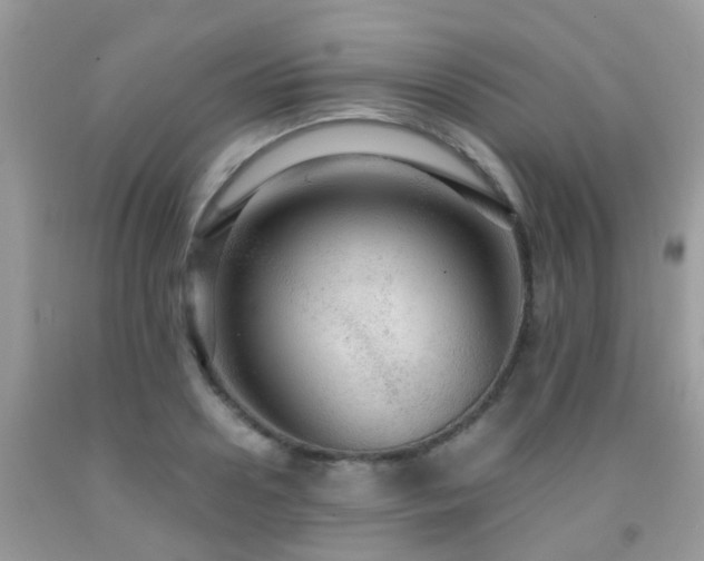 X0000091960938200709061258