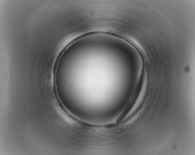 X0000091960940200709061259