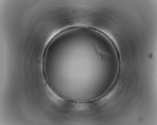 X0000091960941200709061259