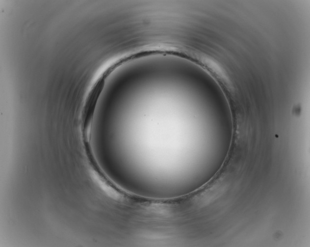 X0000091960942200709061259