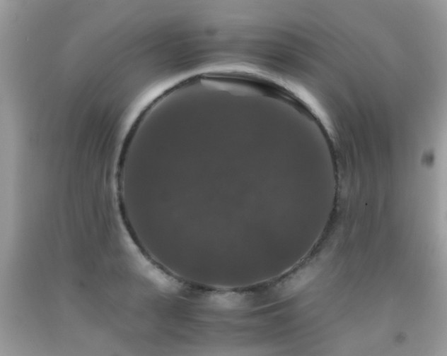 X0000091960943200709061259