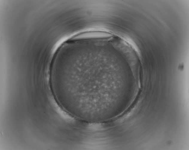 X0000091960944200709061259